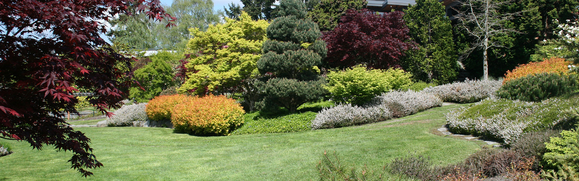 banner-5.jpg